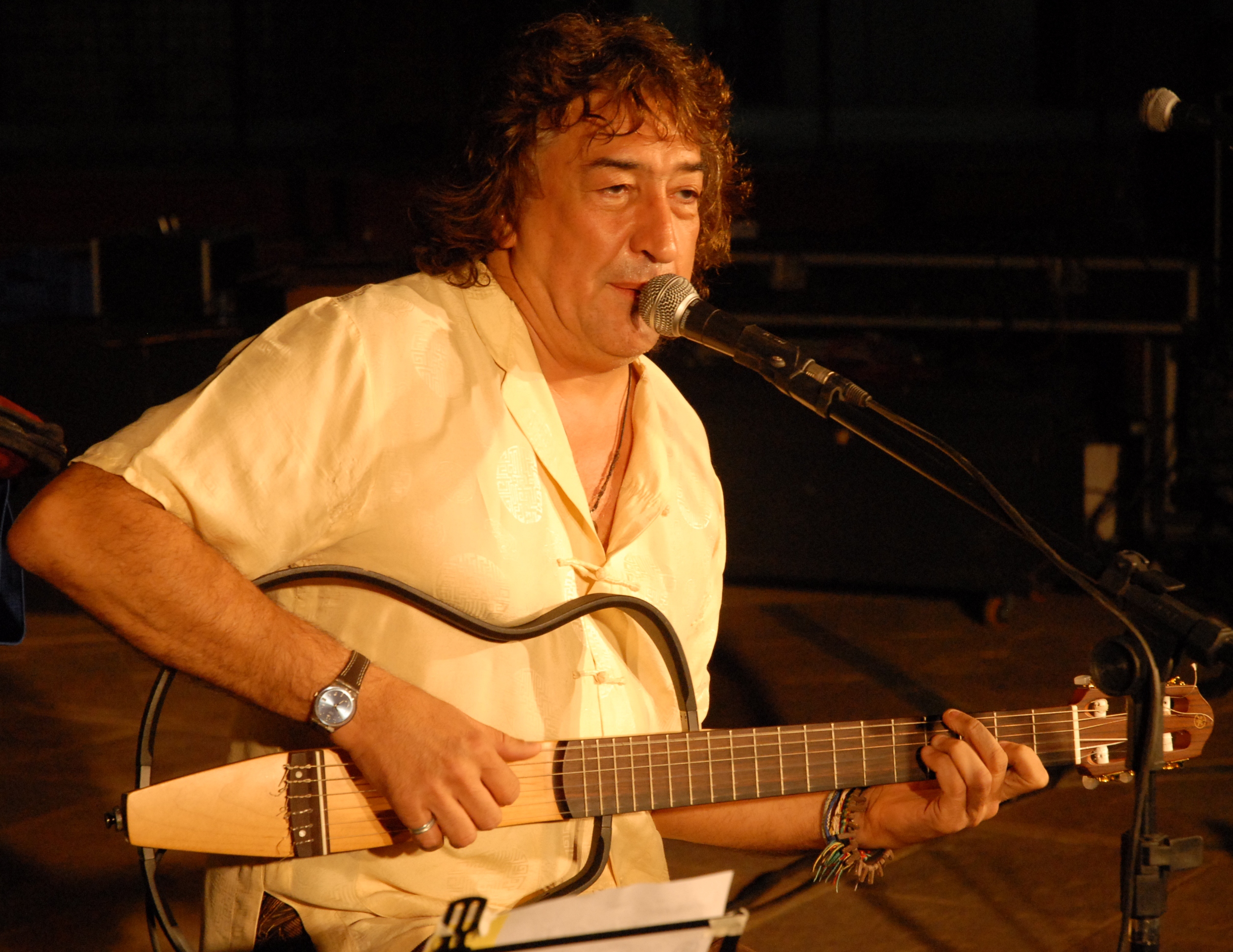 Terra dos Pássaros: composições de Toninho Horta - Thais Nicodemo